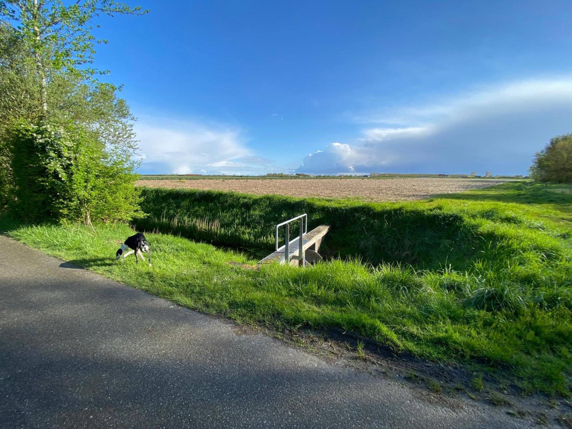 Vakantiewoning Westkaap Westkapelle